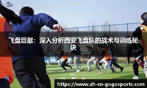 飞盘巨献：深入分析西安飞盘队的战术与训练秘诀